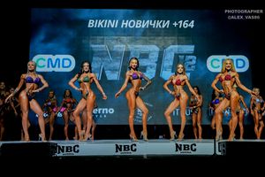 BIKINI НОВИЧКИ +164